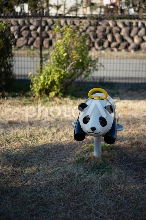パンダの遊具 パンダ,遊具,公園の写真素材
