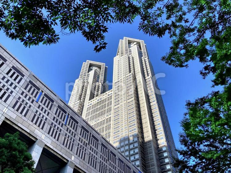 威風堂々　東京都庁 東京,東京都庁,都庁の写真素材