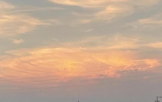 そら そらの写真