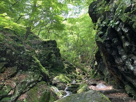 苔むした岩場を流れる渓流の静寂風景 渓谷,渓流,沢の写真素材