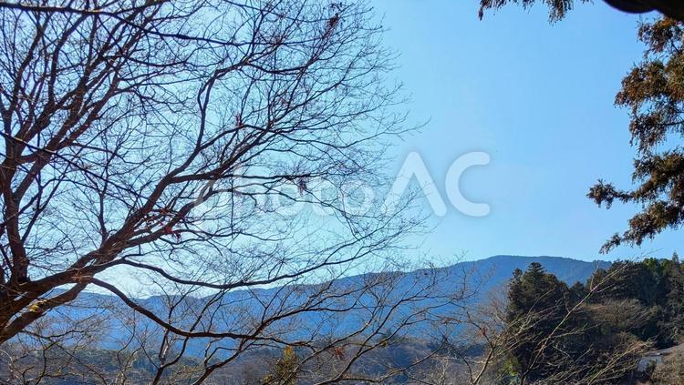 美しい青い空と山並みと木 山並み,空,青の写真素材