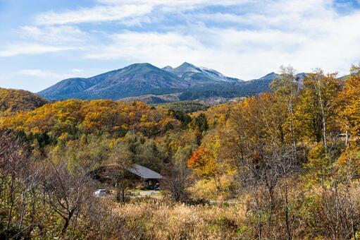 乗鞍高原の秋 乗鞍高原,紅葉,長野の写真素材