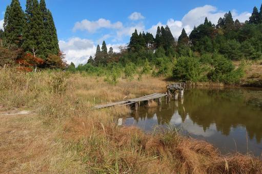 秋の武奈ヶ岳 10月,秋,滋賀の写真素材
