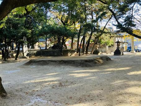 船橋大神宮　意富比神社　土俵 船橋大神宮,意富比神社,千葉県船橋市の写真素材