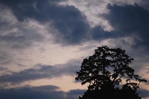 Photo, sky, evening, evening landscape, 