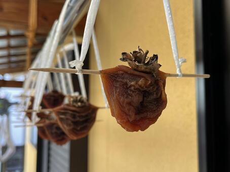 干し柿 干し柿,渋柿,柿の写真素材