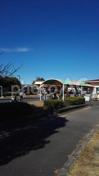 澄み渡る青い空と市民公園 こども,遊ぶ,青い空の写真素材