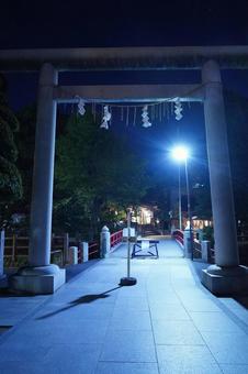 深夜の松戸神社、参道と正面の鳥居 神社仏閣,神社,必勝祈願の写真素材
