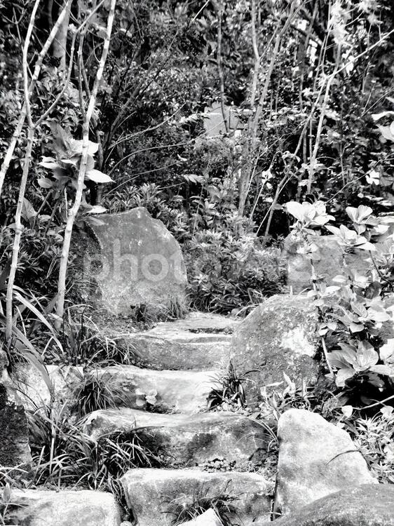 公開空地の石段　白黒 モノクロ,休憩,公園の写真素材