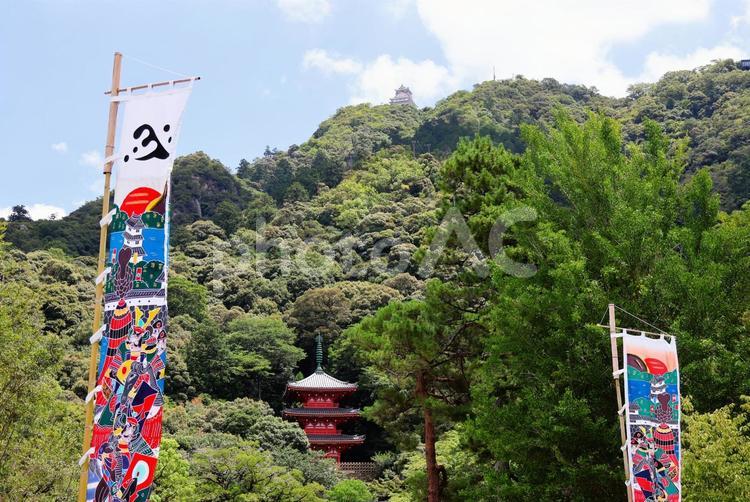 ７月下旬の金華山と岐阜城の天守 金華山,山,幟の写真素材