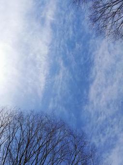 Winter blue sky, JPG Winter blue sky, JPG