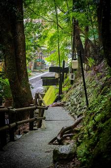 四国　徳島　祖谷のかずら橋 祖谷のかずら橋,四国,四国地方の写真素材