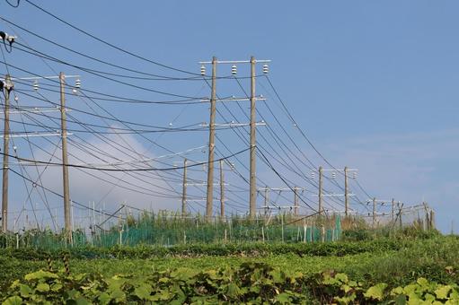 送電線 送電線の写真