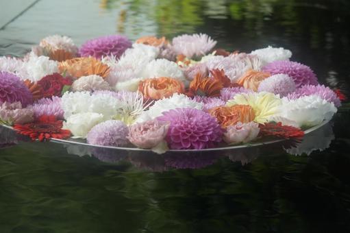 花手水 花手水の写真