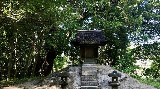 木陰 木陰 後楽園,庭園,公園の写真素材