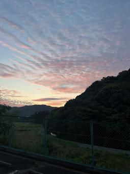 朝焼け 朝焼けの写真
