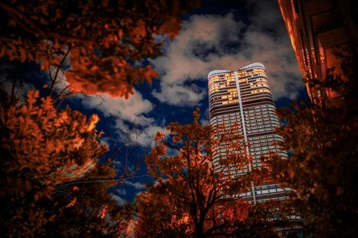 ライトアップされたビル 高層ビル,ライトアップ,木々の写真素材