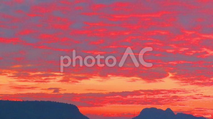 ６月下旬の野田池の朝焼け 背景,朝焼け,たそがれの写真素材