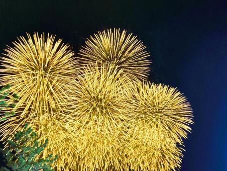 夜空を彩る花火 花火,夜空,打ち上げ花火の写真素材