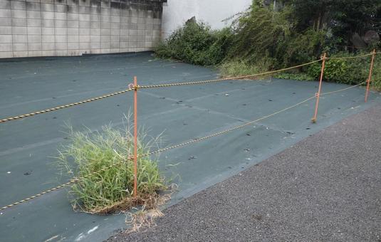 防草シートのある更地 防草シートのある更地の写真