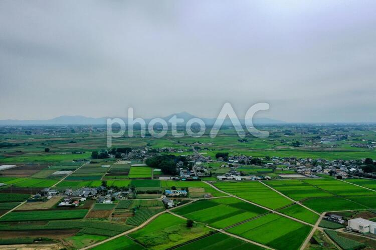 筑波山と田園風景 筑波山,田園,農業の写真素材