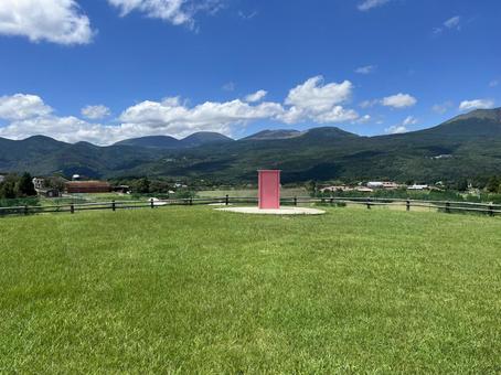 壮大な芝生 壮大な芝生 芝生,青空,自然の写真素材