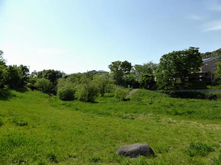 横浜市栄区・草原のいたち川扇橋の水辺 横浜市栄区・草原のいたち川扇橋の水辺 草原,草地,草むらの写真素材