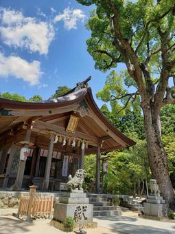 神社 神社の写真