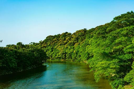 伊勢の川 川,緑,夏の写真素材