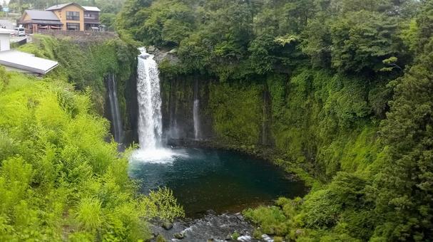 音止の滝 富士宮 音止の滝 富士宮 音止の滝,白糸,天然記念物の写真素材