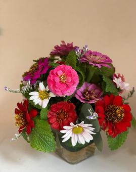 ニチニチソウのラウンドアレンジ ニチニチソウ,キク,リモリュームの写真素材