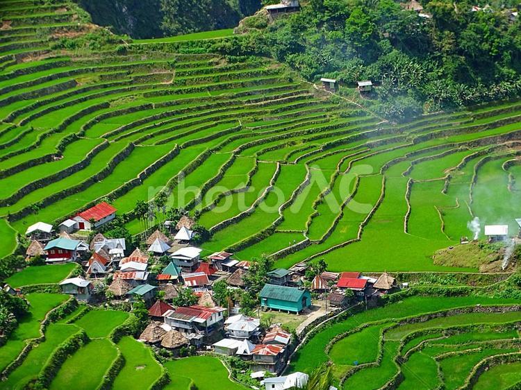 イフガオ州バナウエ町の棚田郡(世界遺産) フィリピン,イフガオ,バナウエの写真素材