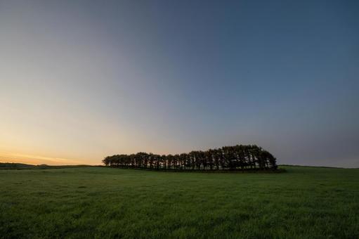 牧草地に広がる夜明けの静かな光景 牧草地に広がる夜明けの静かな光景 並木,夜明け,草原の写真素材