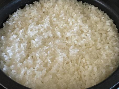 炊飯器の炊き立てご飯 炊飯器の炊き立てご飯の写真