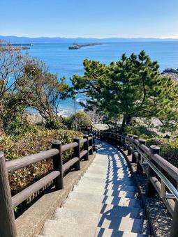 海へと続く道 海へと続く道の写真