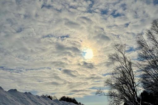 冬の空 冬の空,冬,青空の写真素材