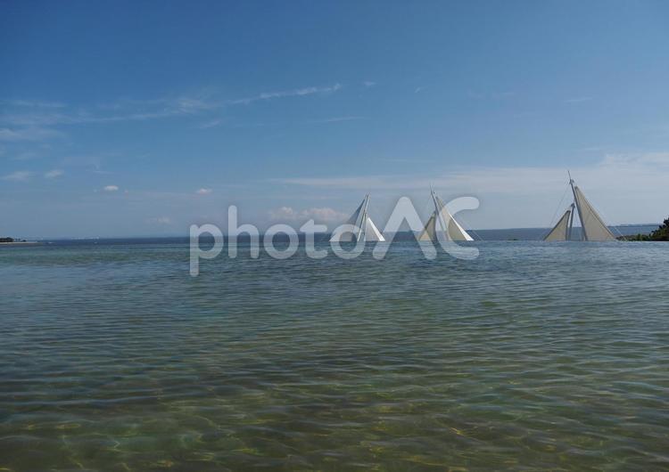 葛西臨海水族園からの風景 葛西臨海水族園,空,水の写真素材