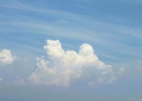 もこもこと盛り上がる入道雲 もこもこと盛り上がる入道雲の写真
