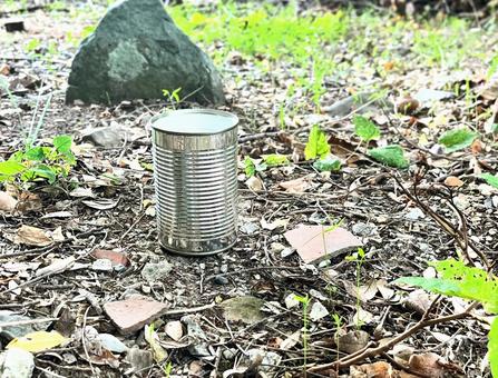 空き缶 空き缶,缶詰,ゴミの写真素材