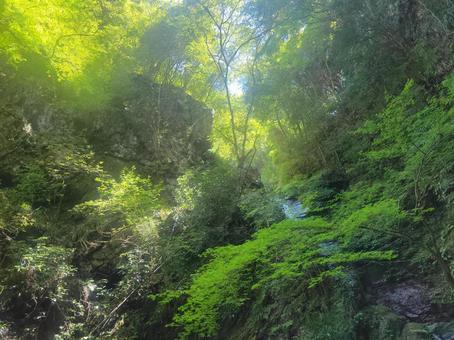 滝と木漏れ日 滝と木漏れ日 木,山,大自然の写真素材