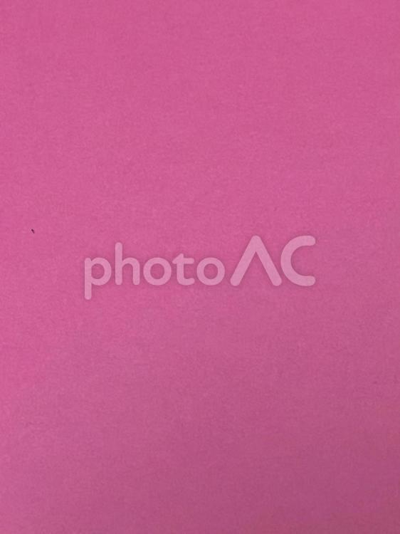 撮影した色画用紙(紫色) ピンク,ピンク色,紫の写真素材
