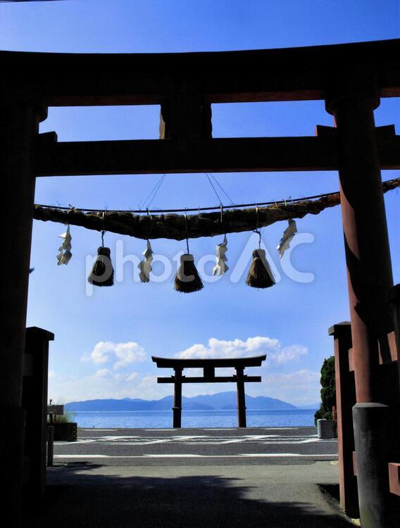 白鬚神社から見た湖中の鳥居 神社,白鬚神社,鳥居の写真素材