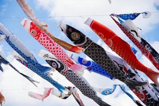 鯉のぼり 鯉のぼり,こどもの日,晴天の写真素材