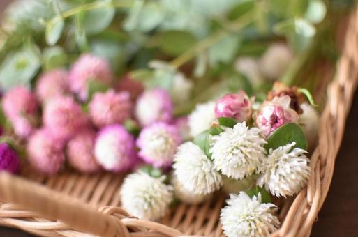 可愛らしいお花達 ドライフラワー素材 可愛らしいお花達 ドライフラワー素材の写真