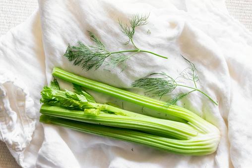 白い布に置かれたセロリとディル セロリ,ディル,ハーブの写真素材