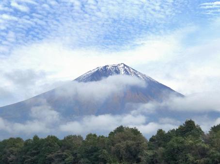 富士山(朝霧高原) 富士山,朝霧高原,自然の写真素材