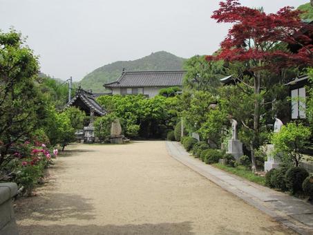 【風景写真】松壽寺(広島県三原市)の風景 【風景写真】松壽寺(広島県三原市)の風景の写真