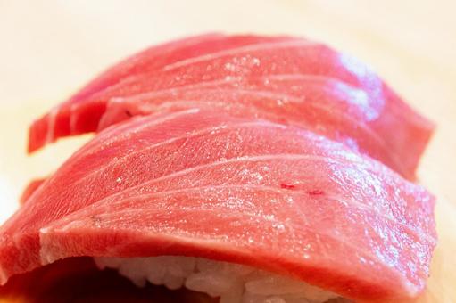 中トロのにぎり寿司 中トロのにぎり寿司 中トロ,握り寿司,寿司の写真素材