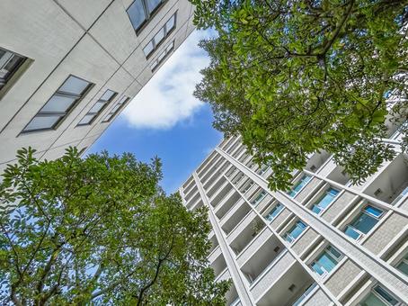 爽やかな緑の樹木とクリーム色のマンション 爽やかな緑の樹木とクリーム色のマンション マンション,見上げる,空の写真素材