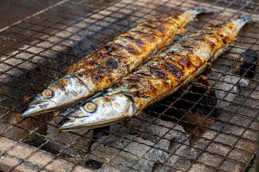 炭火で焼く秋刀魚 炭火で焼く秋刀魚 秋刀魚,サンマ,炭火の写真素材
